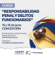 Curso «Responsabilidad Penal y Delitos Funcionarios»