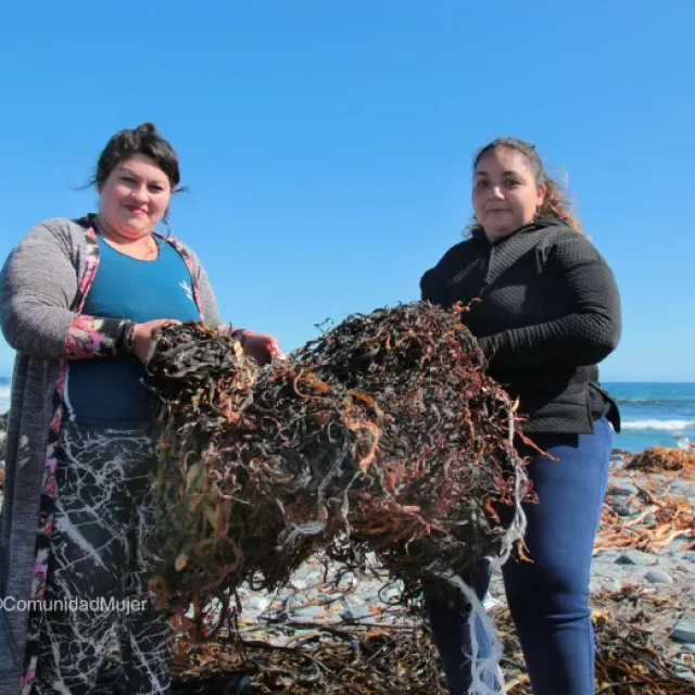 ComunidadMujer inicia postulación a Fondo Concursable para proyectos de organizaciones territoriales que promuevan la igualdad de género en sus comunidades