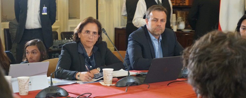 ACHM y Gobernadores Regionales exponen en subcomisión del Senado