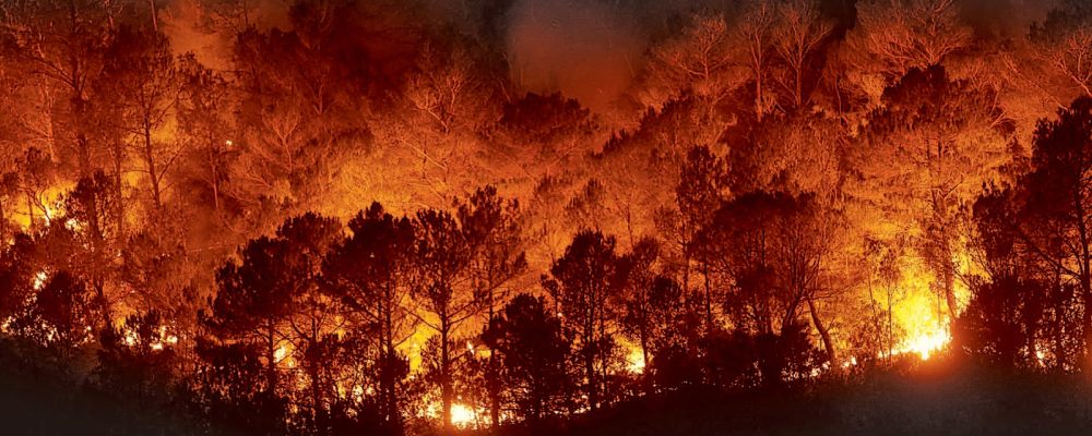 Municipios ya cuentan con una ordenanza tipo en prevención y gestión de riesgos comunales ante incendios forestales